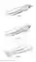 Fig. 02 - Boat hull