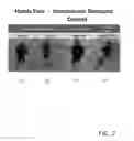 Fig. 03 - Smart buoyancy compensation devices
