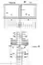 Fig. 08 - DEVICES AND METHODS FOR PRODUCING A LARGE-SIZE FLOATING STRUCTURE