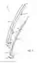 Fig. 10 - Toilet module attachment assembly and method of use
