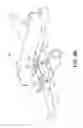 Fig. 07 - Apparatus and method for detecting stall condition