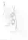 Fig. 18 - Machine and method for orienting containers