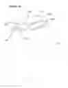 Fig. 07 - Dispensing container package