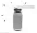 Fig. 01 - CONSTRUCTIVE ARRANGEMENT APPLIED TO A SEAL IN A BEVERAGE PACKAGE