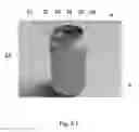Fig. 26 - CONSTRUCTIVE ARRANGEMENT APPLIED TO A SEAL IN A BEVERAGE PACKAGE