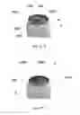 Fig. 72 - CONSTRUCTIVE ARRANGEMENT APPLIED TO A SEAL IN A BEVERAGE PACKAGE