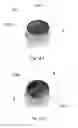 Fig. 75 - CONSTRUCTIVE ARRANGEMENT APPLIED TO A SEAL IN A BEVERAGE PACKAGE