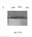 Fig. 84 - CONSTRUCTIVE ARRANGEMENT APPLIED TO A SEAL IN A BEVERAGE PACKAGE