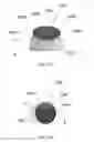 Fig. 85 - CONSTRUCTIVE ARRANGEMENT APPLIED TO A SEAL IN A BEVERAGE PACKAGE