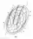 Fig. 04 - Microwave Packaging