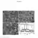 Fig. 05 - AQUEOUS-BASED METHOD OF PREPARING METAL CHALCOGENIDE NANOMATERIALS