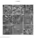 Fig. 07 - AQUEOUS-BASED METHOD OF PREPARING METAL CHALCOGENIDE NANOMATERIALS