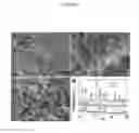 Fig. 08 - AQUEOUS-BASED METHOD OF PREPARING METAL CHALCOGENIDE NANOMATERIALS