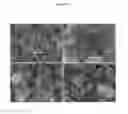 Fig. 10 - AQUEOUS-BASED METHOD OF PREPARING METAL CHALCOGENIDE NANOMATERIALS