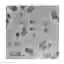 Fig. 01 - PROCESS FOR PREPARING SMALL SIZE LAYERED DOUBLE HYDROXIDE PARTICLES