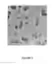 Fig. 02 - PROCESS FOR PREPARING SMALL SIZE LAYERED DOUBLE HYDROXIDE PARTICLES