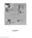 Fig. 03 - PROCESS FOR PREPARING SMALL SIZE LAYERED DOUBLE HYDROXIDE PARTICLES