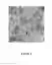 Fig. 04 - PROCESS FOR PREPARING SMALL SIZE LAYERED DOUBLE HYDROXIDE PARTICLES