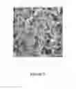 Fig. 06 - PROCESS FOR PREPARING SMALL SIZE LAYERED DOUBLE HYDROXIDE PARTICLES