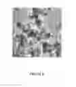 Fig. 07 - PROCESS FOR PREPARING SMALL SIZE LAYERED DOUBLE HYDROXIDE PARTICLES