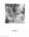 Fig. 08 - PROCESS FOR PREPARING SMALL SIZE LAYERED DOUBLE HYDROXIDE PARTICLES