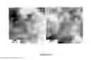 Fig. 12 - PROCESS FOR PREPARING SMALL SIZE LAYERED DOUBLE HYDROXIDE PARTICLES