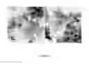 Fig. 13 - PROCESS FOR PREPARING SMALL SIZE LAYERED DOUBLE HYDROXIDE PARTICLES