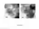 Fig. 23 - PROCESS FOR PREPARING SMALL SIZE LAYERED DOUBLE HYDROXIDE PARTICLES