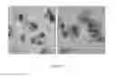 Fig. 26 - PROCESS FOR PREPARING SMALL SIZE LAYERED DOUBLE HYDROXIDE PARTICLES