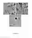 Fig. 33 - PROCESS FOR PREPARING SMALL SIZE LAYERED DOUBLE HYDROXIDE PARTICLES