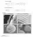 Fig. 03 - SELF-CLEANING COATING COMPOSITION