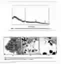 Fig. 03 - Production of Magnetic Metal Nanoparticles Embedded in a Silica-Alumina   Matrix