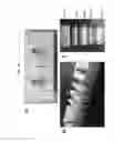 Fig. 35 - Photocrosslinking reagents and methods of use thereof