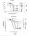 Fig. 04 - Hsp70 modulators and methods for making and using the same