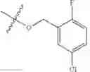 Fig. 110 - Hsp70 modulators and methods for making and using the same
