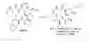 Fig. 01 - Simplified structural mimetics of AIPS as quorum sensing inhibitors