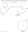 Fig. 02 - Methods of preparing oxa-bicycloalkene