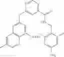 Fig. 94 - Therapeutic inhibitory compounds