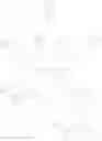 Fig. 23 - GLP-1 receptor agonists and uses thereof