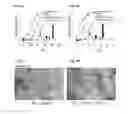 Fig. 07 - Alpha-helix mimetics as modulators of Abeta self-assembly