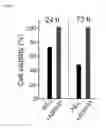 Fig. 33 - Alpha-helix mimetics as modulators of Abeta self-assembly