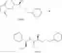 Fig. 201 - METHODS OF SYNTHESIZING A DIFLUOROLACTAM ANALOG