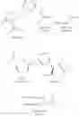 Fig. 83 - METHODS OF SYNTHESIZING A DIFLUOROLACTAM ANALOG