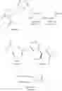Fig. 97 - METHODS OF SYNTHESIZING A DIFLUOROLACTAM ANALOG