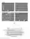 Fig. 03 - Purine diones as Wnt pathway modulators