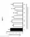 Fig. 06 - BENZODIAZEPINE DERIVATIVES, COMPOSITIONS, AND METHODS FOR TREATING COGNITIVE IMPAIRMENT