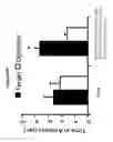 Fig. 10 - BENZODIAZEPINE DERIVATIVES, COMPOSITIONS, AND METHODS FOR TREATING COGNITIVE IMPAIRMENT