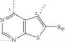 Fig. 04 - Hydroxyester derivatives, a process for their preparation and pharmaceutical compositions containing them