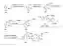 Fig. 01 - Synthesis of cephalosporin compounds