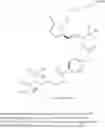 Fig. 16 - Amide-linked EP4 agonist-bisphosphonate compounds and uses thereof